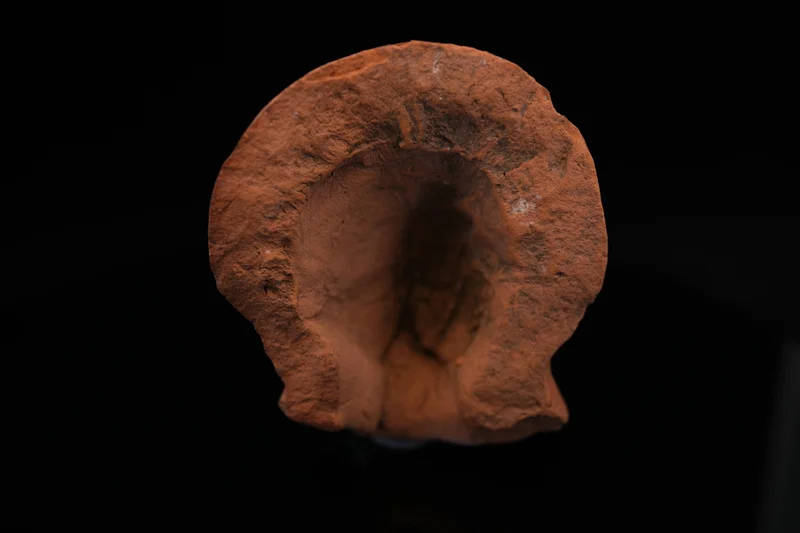 Hellenistic Terracotta Female Head - Image 3