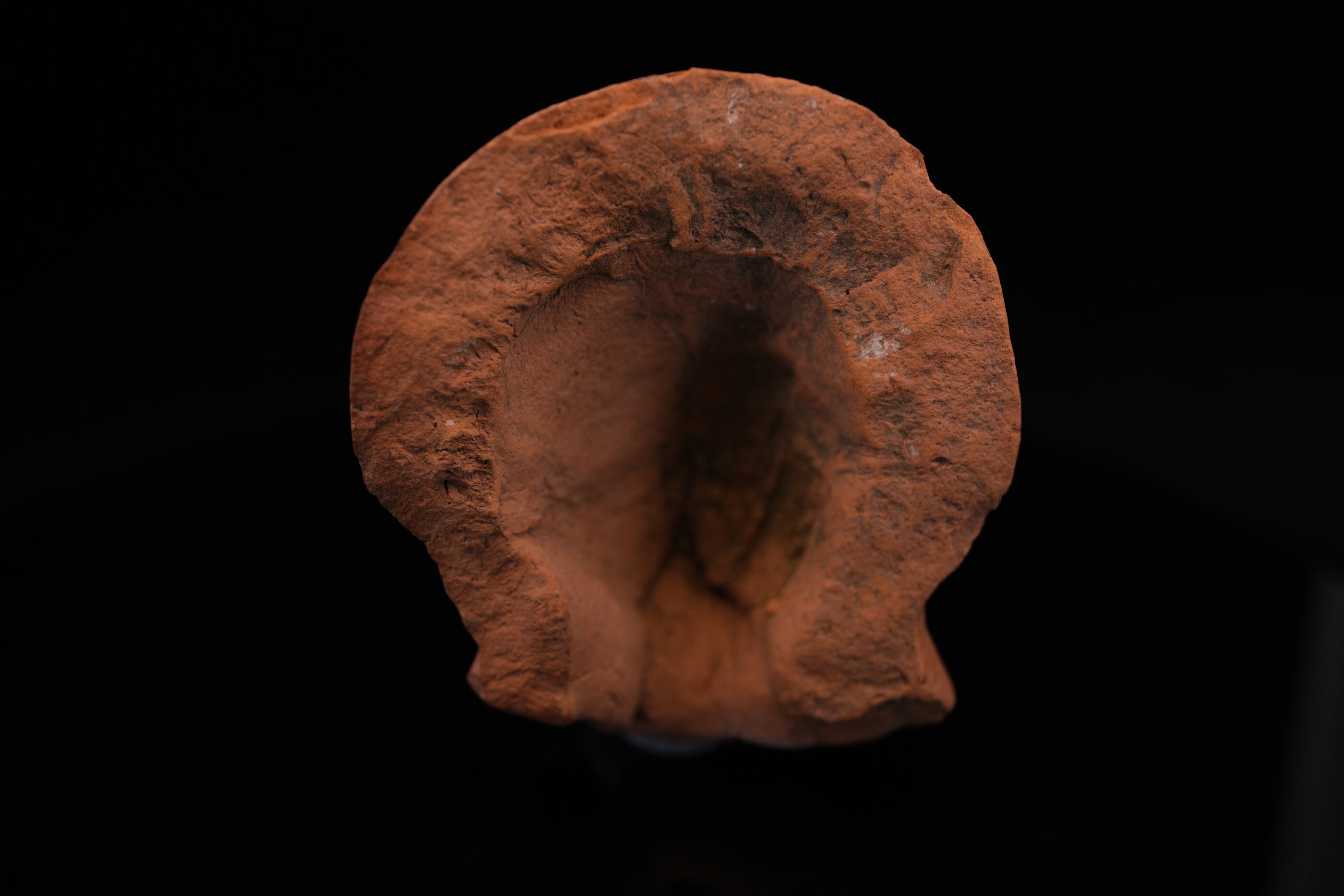 Hellenistic Terracotta Female Head - Image 3